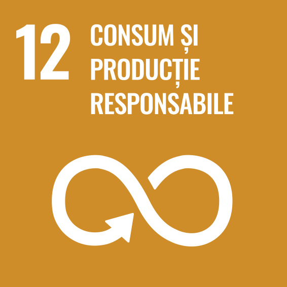 Romanian SDG icon 12