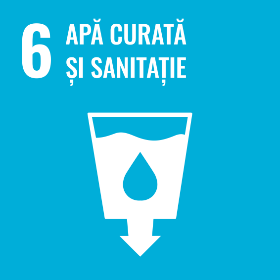 Romanian SDG icon 6