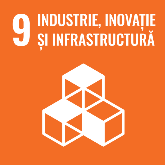 Romanian SDG icon 9